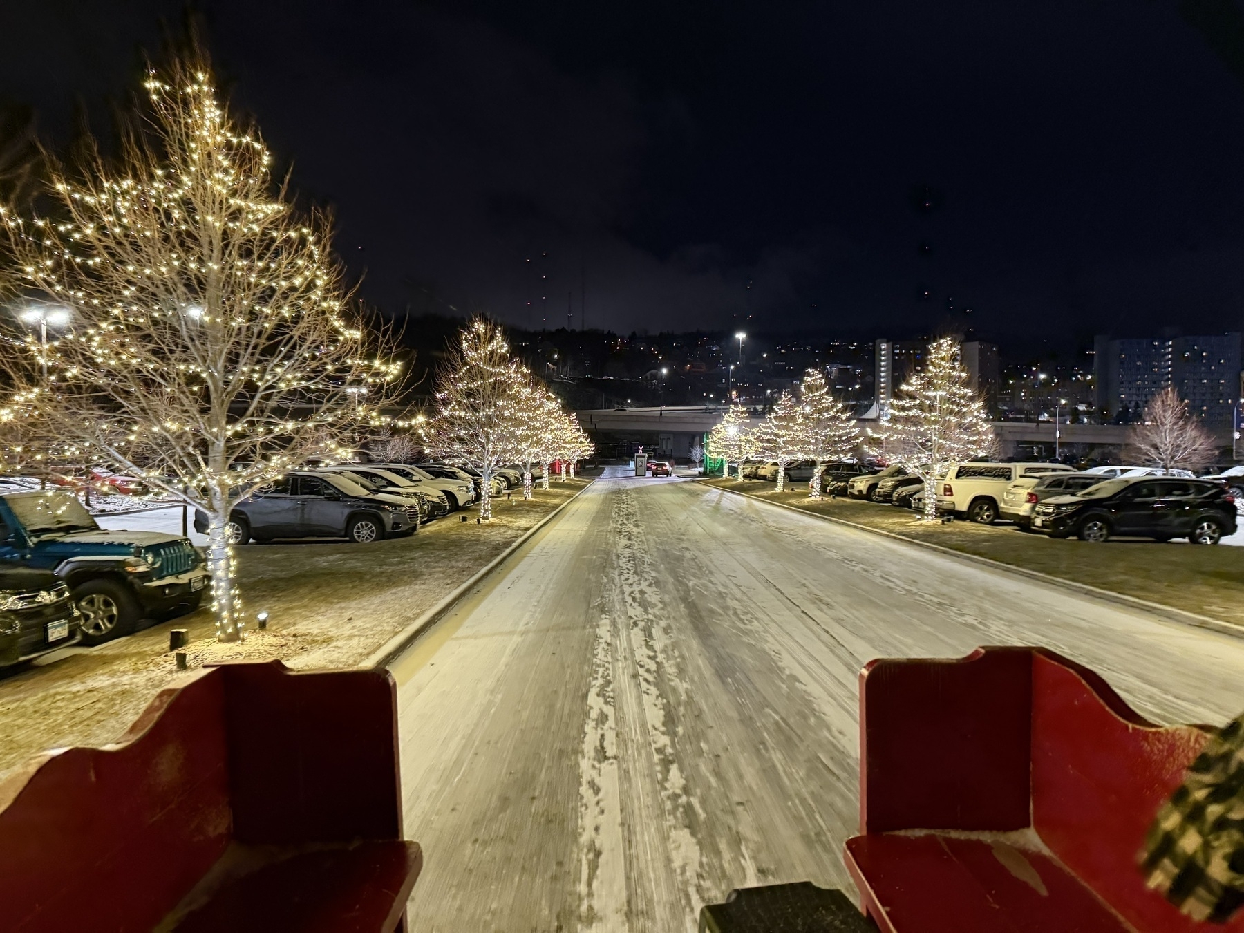 view from inside an open-air wagon looking down a street of yellow string-light decorated trees